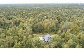 Działka leśna Warszawa Wesoła, ul. Torfowa