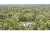 Działka leśna Warszawa Wesoła, ul. Torfowa