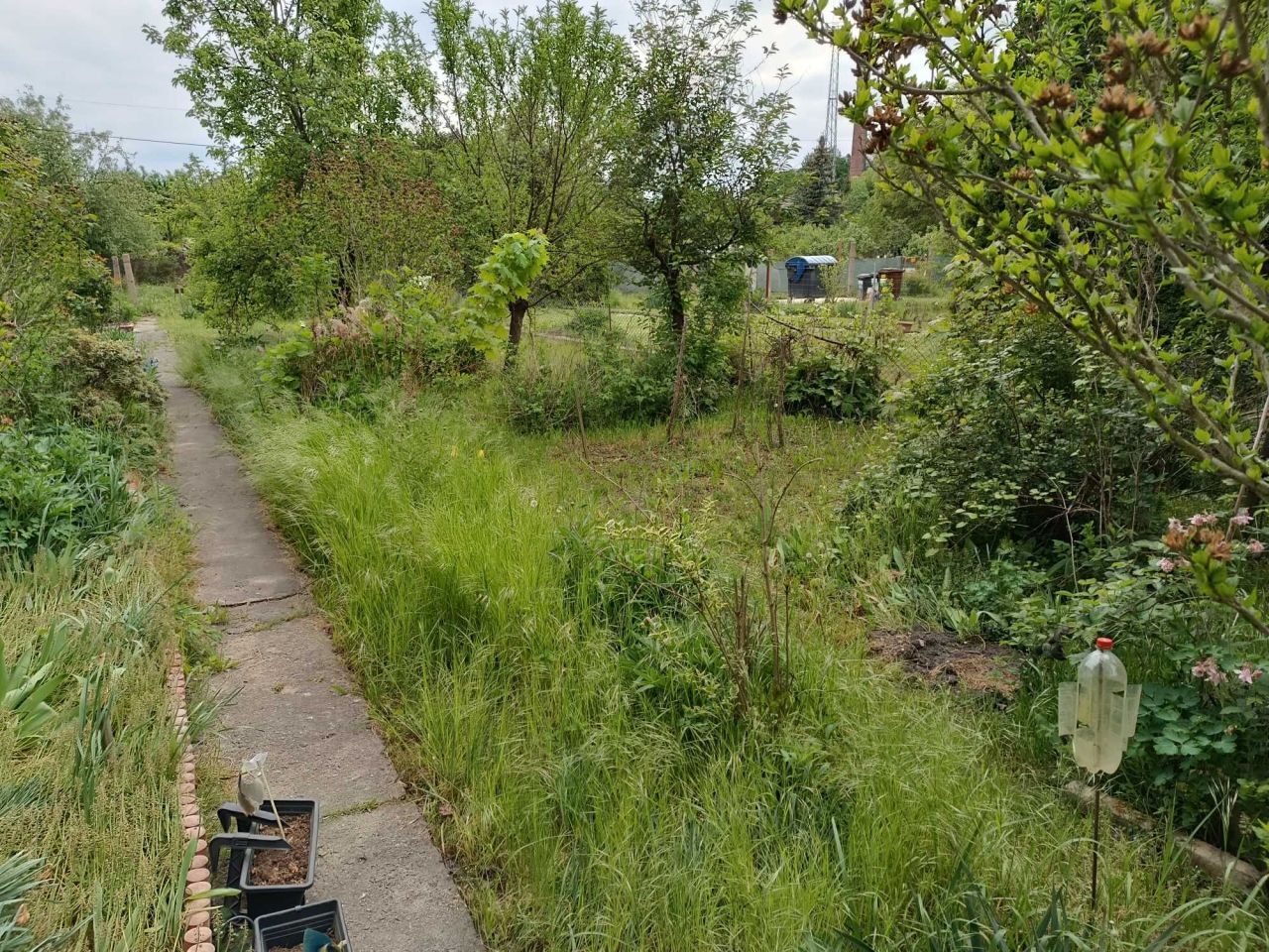 Działka rod Nysa, ul. Bolesława Śmiałego. Zdjęcie 6