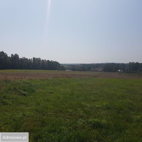 Działka budowlana Domaniewice. Zdjęcie 1