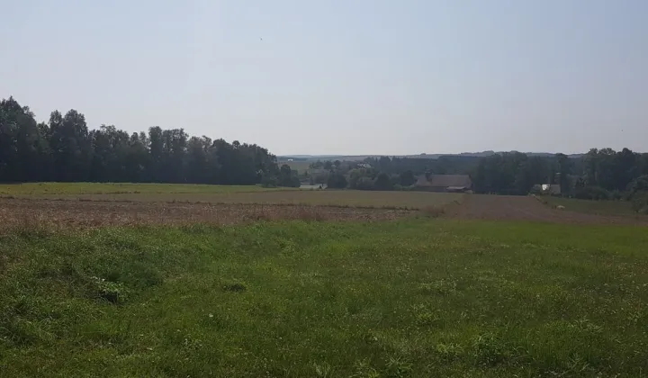 Działka budowlana Domaniewice