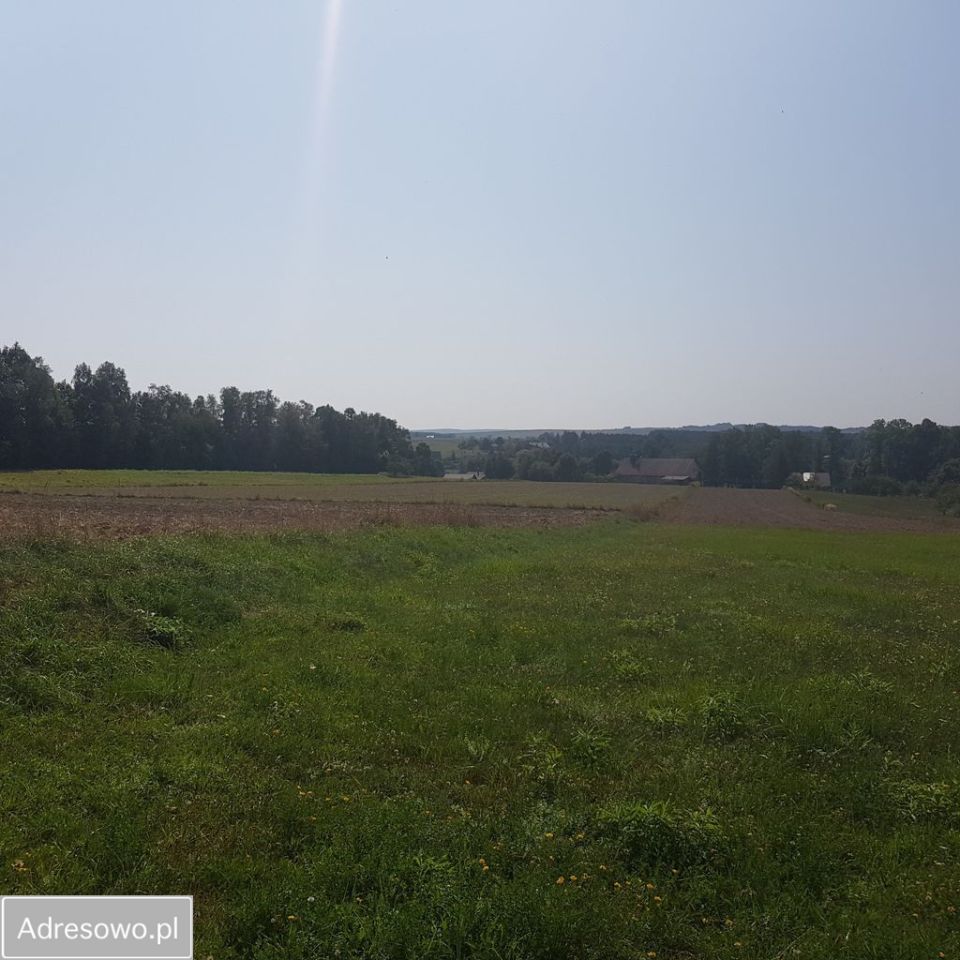 Działka budowlana Domaniewice. Zdjęcie 1