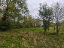 Działka rolna Paszkówka Stara Wieś, ul. Starowiejska. Zdjęcie 4