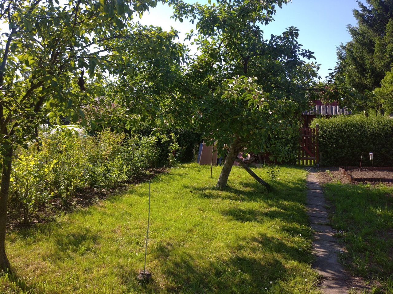 Działka rod Rzeszów Zalesie, al. Wyzwolenia. Zdjęcie 9