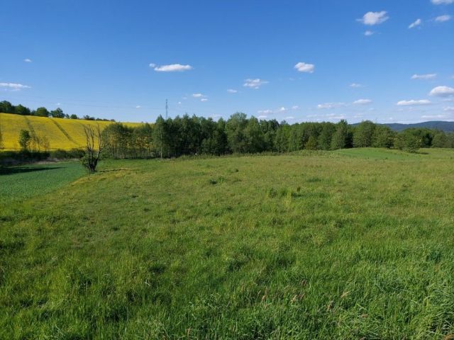 Działka rolna Chrząstówka. Zdjęcie 2