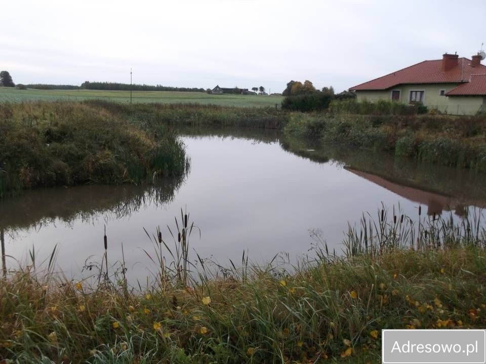 Działka rolna Niedziały. Zdjęcie 7