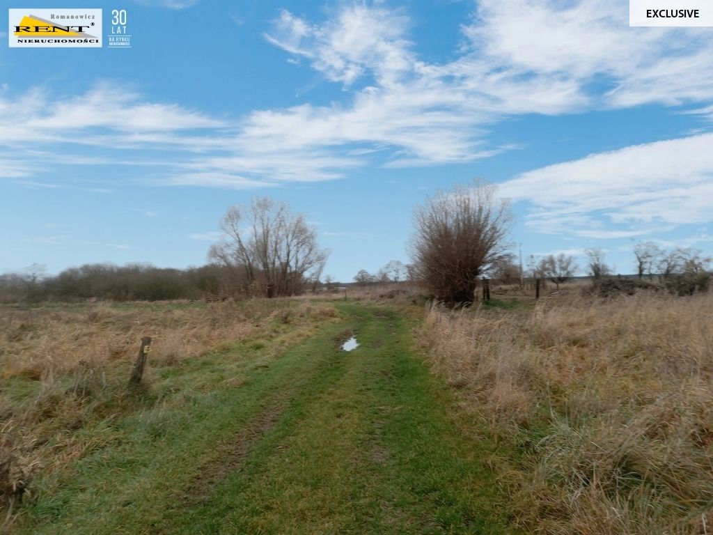 Działka inwestycyjna Wąwelnica. Zdjęcie 7