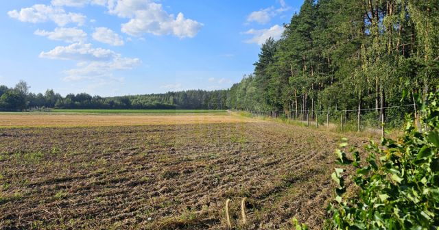 Działka budowlana Petrykozy, ul. Główna. Zdjęcie 5