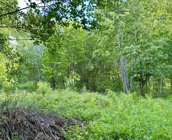 Działka budowlana Góra Kalwaria Marianki, ul. Walewicka. Zdjęcie 3