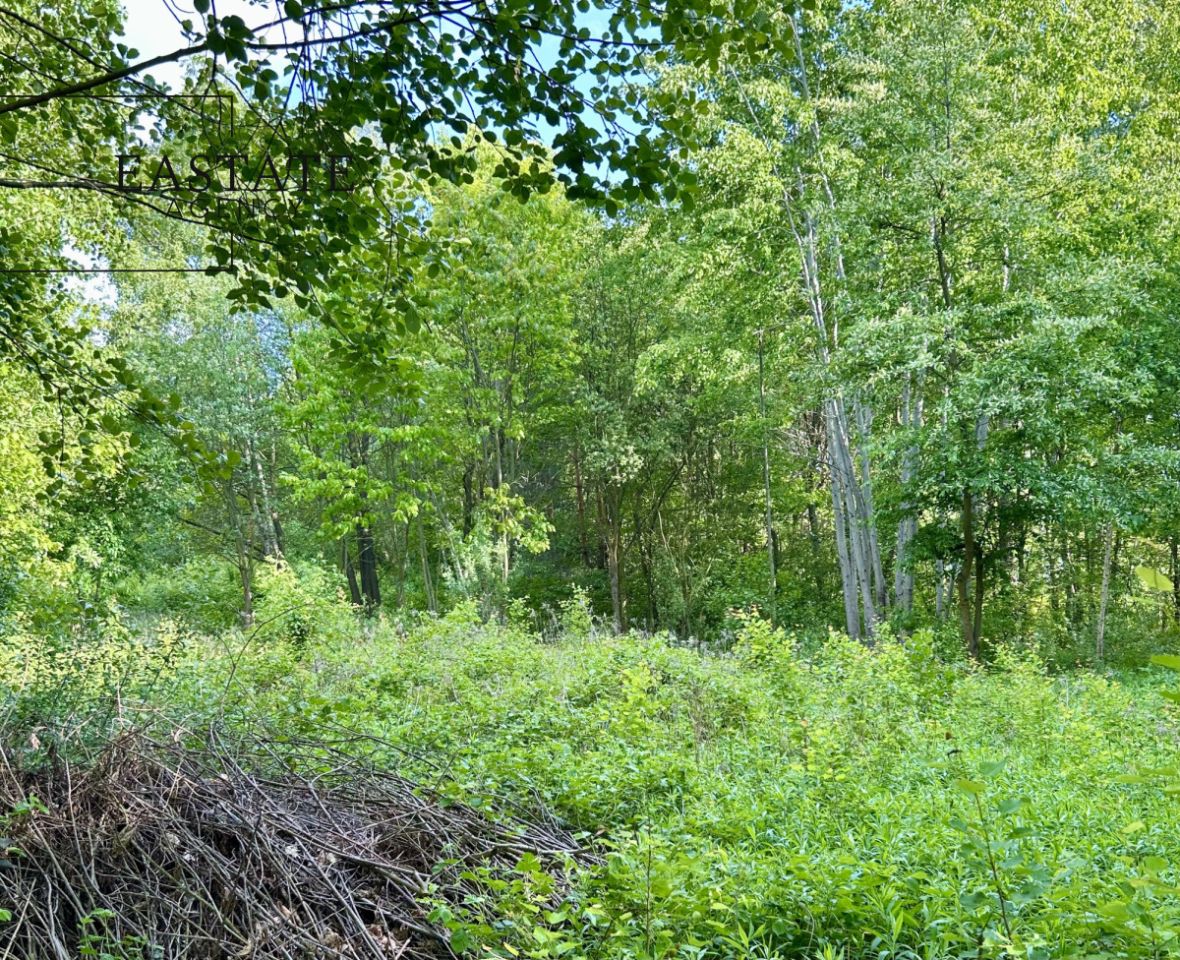 Działka budowlana Góra Kalwaria Marianki, ul. Walewicka. Zdjęcie 3
