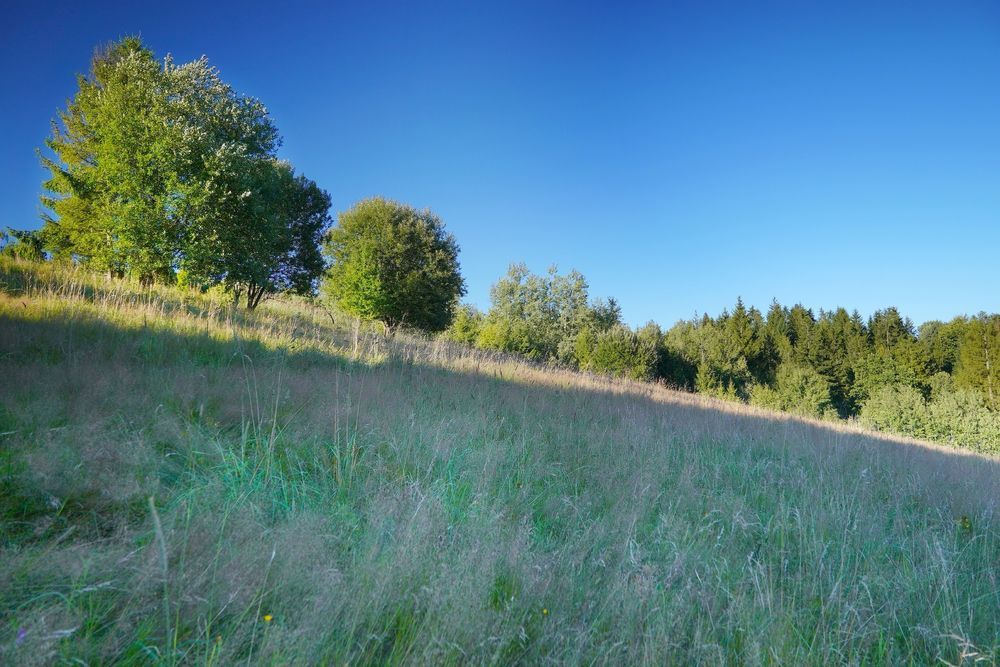 Działka budowlana Jaworzynka Małysze. Zdjęcie 5
