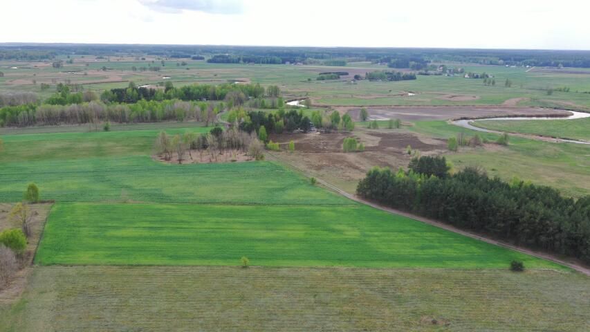 Działka rolno-budowlana Cieciory. Zdjęcie 2
