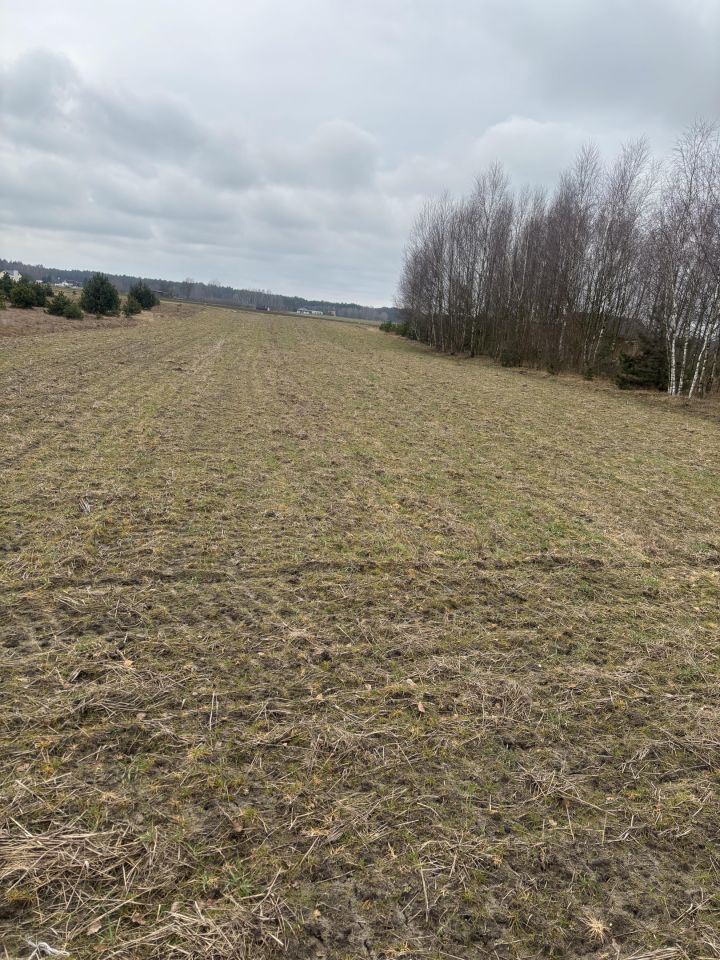 Działka budowlana Okoniny Nadjeziorne. Zdjęcie 2