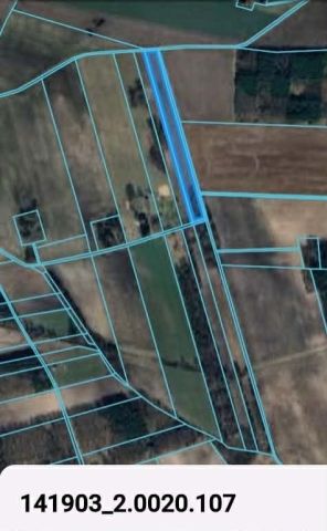 Działka rolna Łukoszyno-Borki. Zdjęcie 1