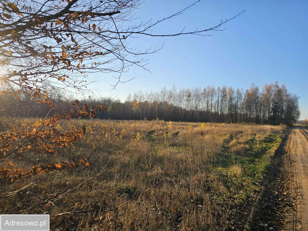 Działka budowlana Komarno. Zdjęcie 1