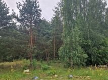 Działka budowlana Ostrowiec Świętokrzyski Piaski, ul. Spokojna. Zdjęcie 1