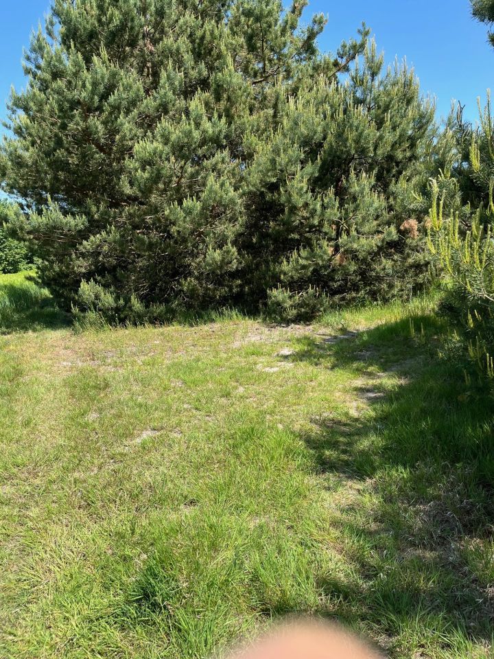 Działka rolno-budowlana Surmacze. Zdjęcie 18