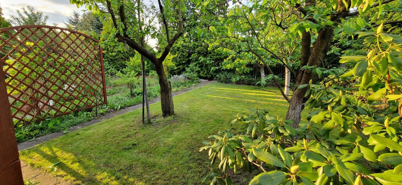 Działka rod Konin, ul. Świętojańska. Zdjęcie 8