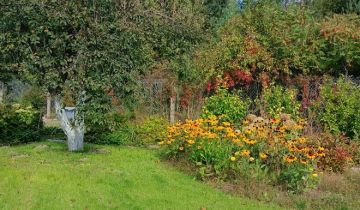 Działka rod Dankowo