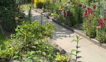 Działka rod Zabrze Centrum, ul. Gdańska