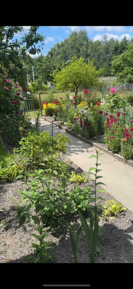 Działka rod Zabrze Centrum, ul. Gdańska. Zdjęcie 2