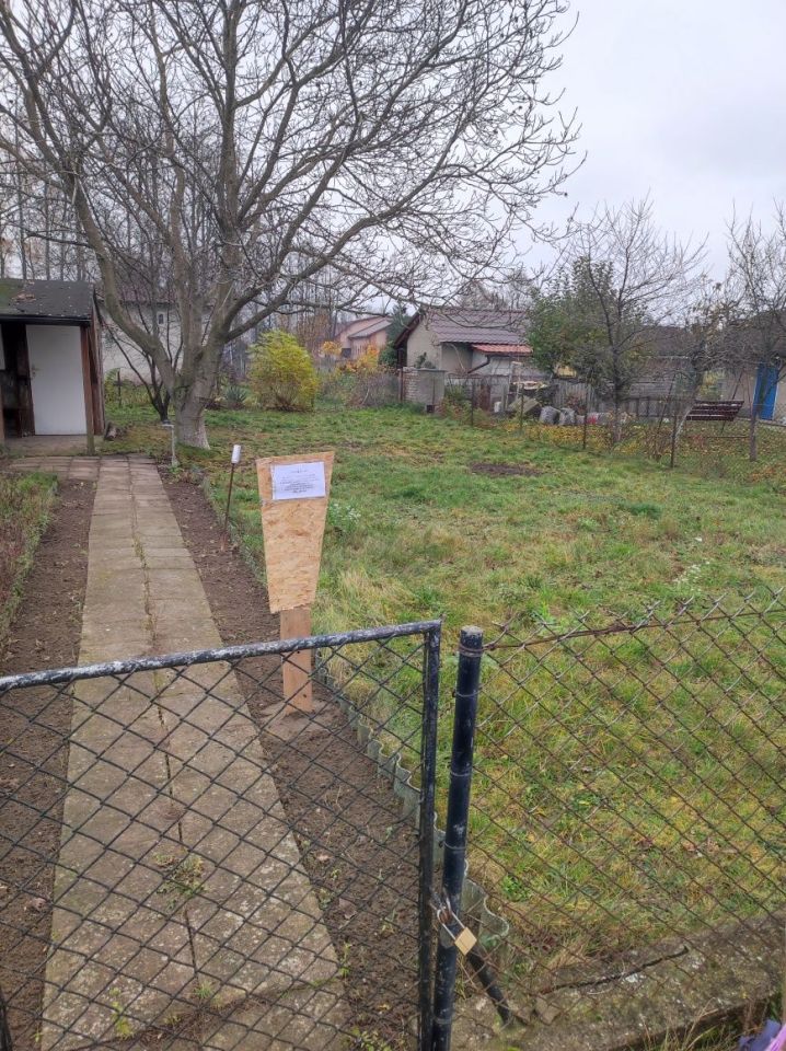 Działka rod Żuromin. Zdjęcie 2