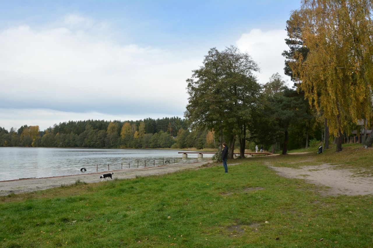 Działka rolno-budowlana Bieszkowice, ul. Polna. Zdjęcie 13