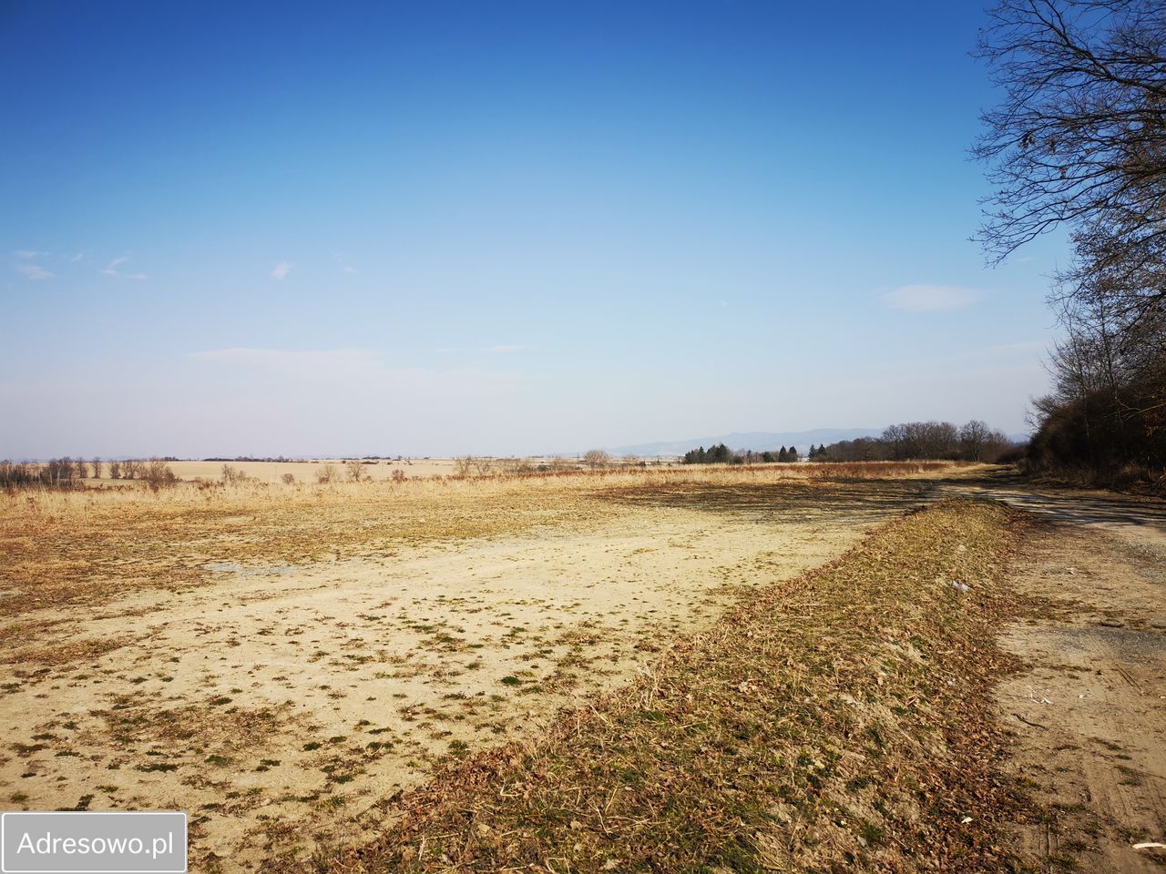 Działka budowlana Stary Wielisław. Zdjęcie 2