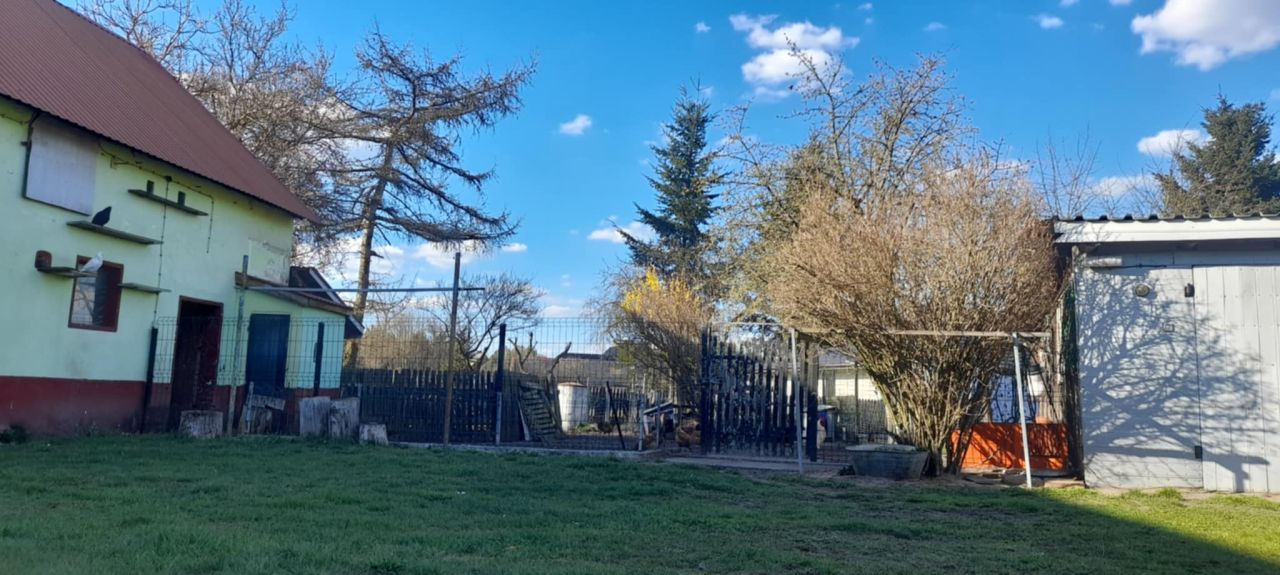 gospodarstwo, 7 pokoi Czerna. Zdjęcie 8