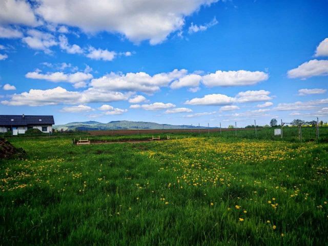 Działka budowlana Uciechów. Zdjęcie 1