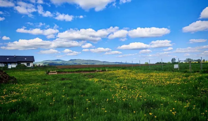 Działka budowlana Uciechów