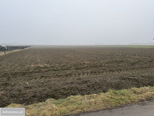 Działka budowlana Nowy Bedoń, ul. Mazowiecka. Zdjęcie 1