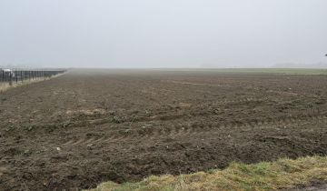 Działka budowlana Nowy Bedoń, ul. Mazowiecka