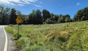 Działka rolno-budowlana Wojcieszów