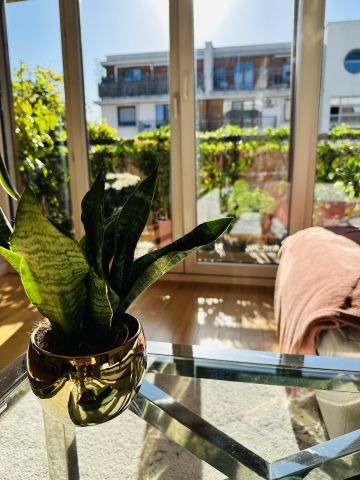 Mieszkanie 2-pokojowe Warszawa Ursynów, ul. Rybitwy. Zdjęcie 9