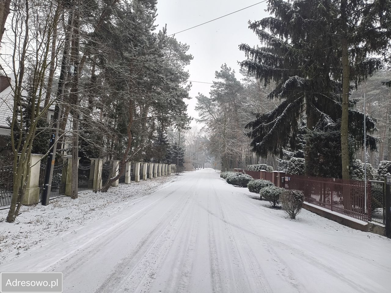 dom wolnostojący, 6 pokoi Międzyborów. Zdjęcie 3