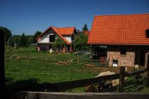 dom wolnostojący, 10 pokoi Gronowo. Zdjęcie 3