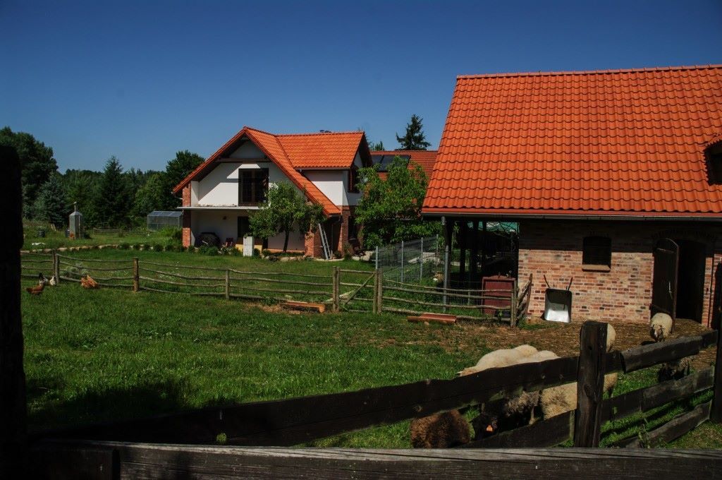 dom wolnostojący, 10 pokoi Gronowo. Zdjęcie 4