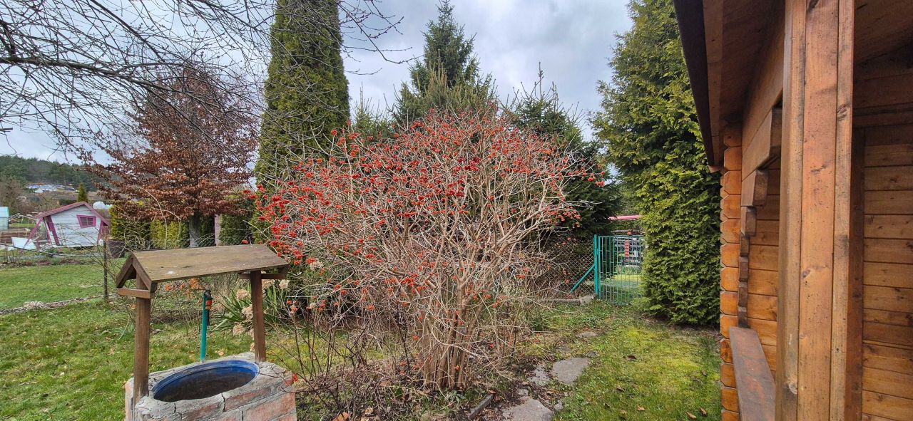 Działka rod Maruny. Zdjęcie 6