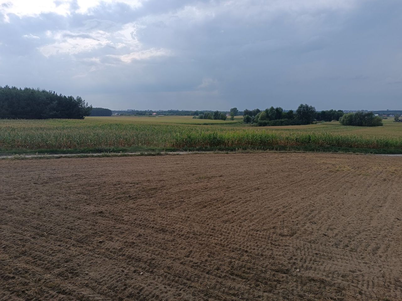 Działka rolna Młyniec Drugi