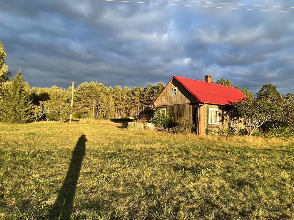 Działka siedliskowa Lubiejki. Zdjęcie 2