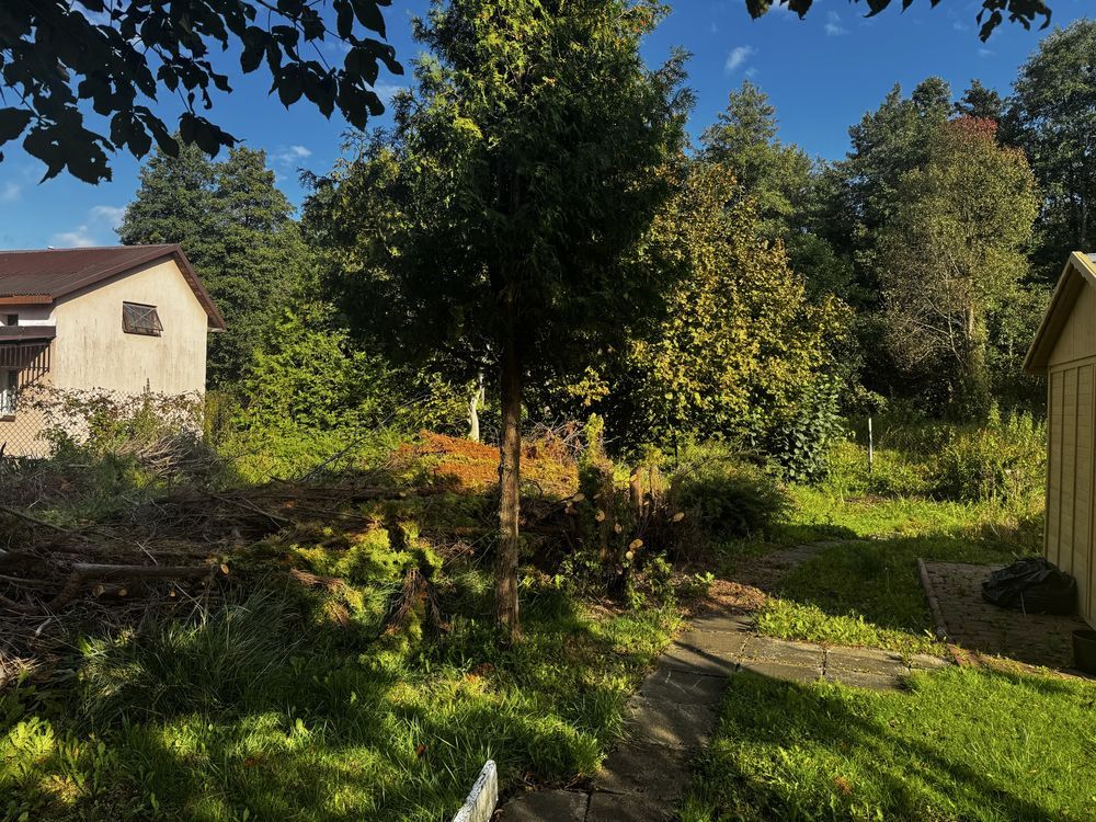 Działka rod Nasielsk. Zdjęcie 4