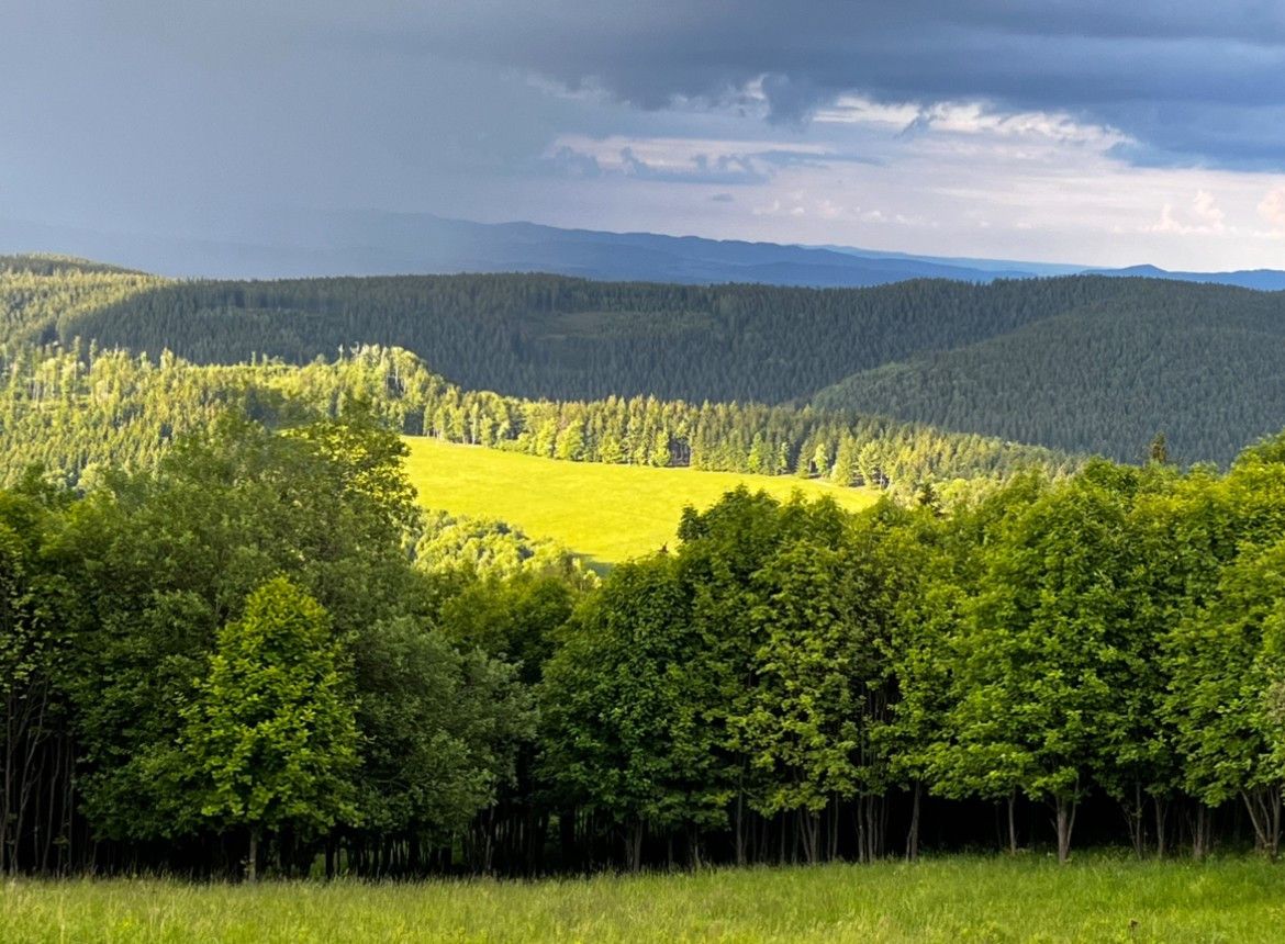 dom wolnostojący, 5 pokoi Kudowa-Zdrój. Zdjęcie 3