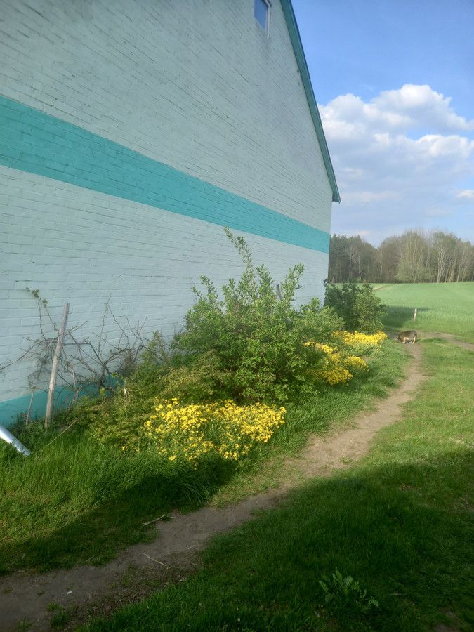 dom wolnostojący, 5 pokoi Anusin. Zdjęcie 8