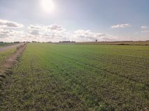 Działka budowlana Marianów. Zdjęcie 3