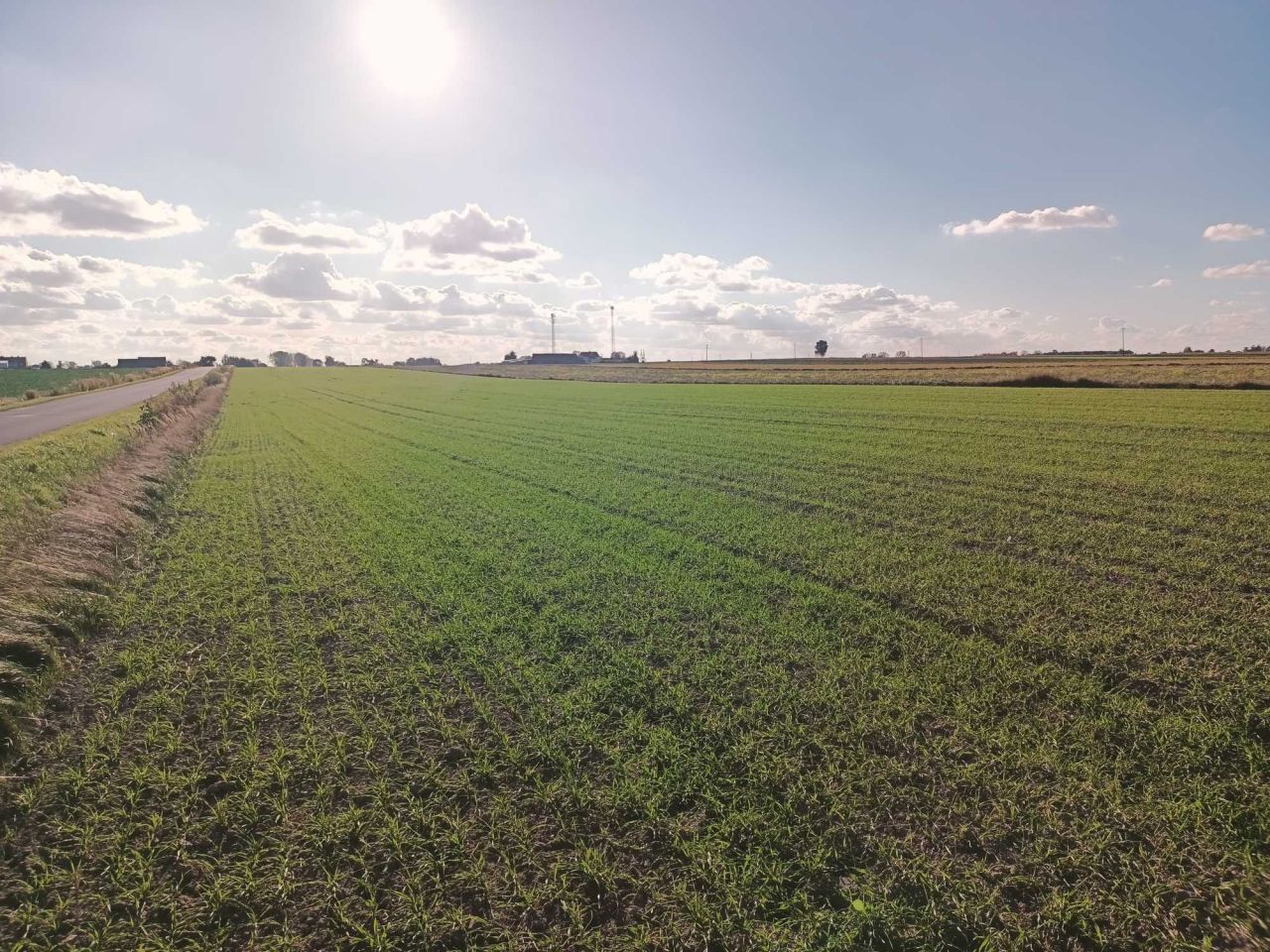 Działka budowlana Marianów. Zdjęcie 4