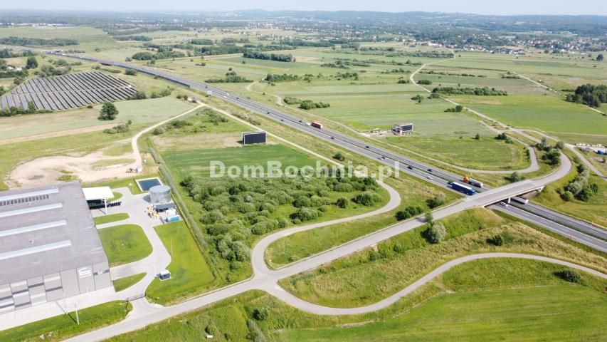 Działka inwestycyjna Krzeczów. Zdjęcie 6