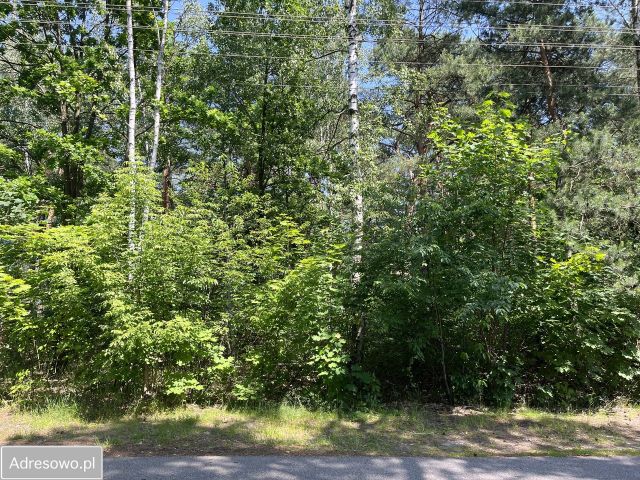 Działka inwestycyjna Józefów, ul. Obywatelska. Zdjęcie 1