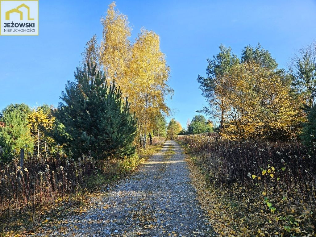 Działka budowlana Kolonia Góra Puławska. Zdjęcie 8