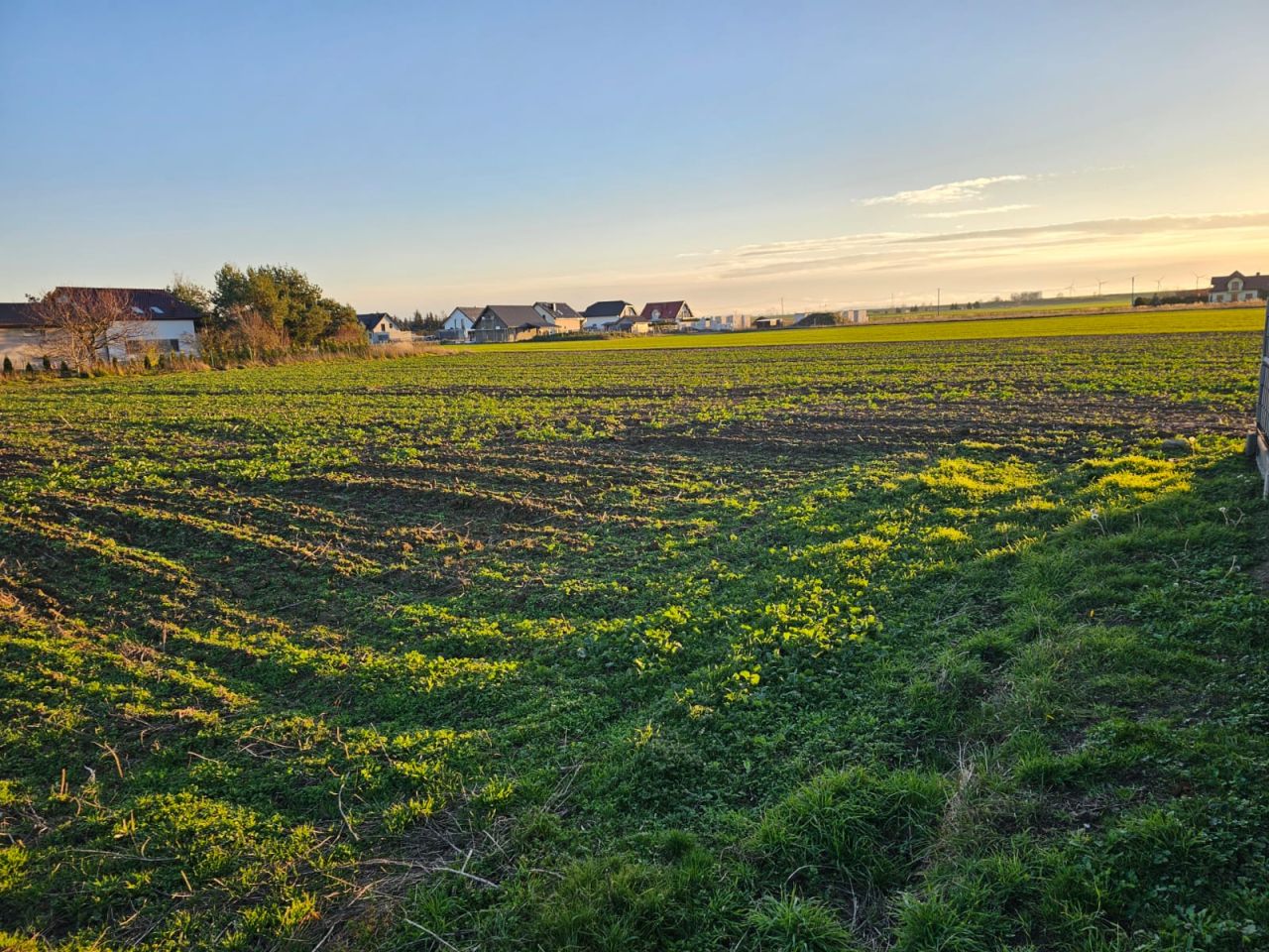 Działka budowlana Konradówka Gołaczów. Zdjęcie 3